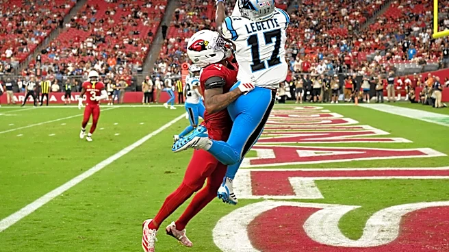 Panthers vs Cardinals: Hall of Fame Game discussion thread