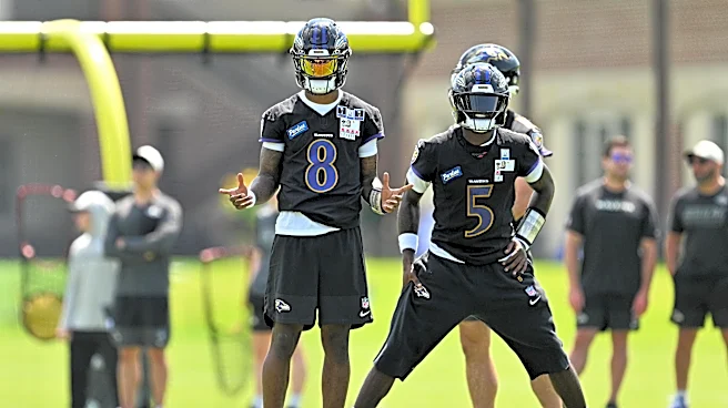 Ranking every position group on the Ravens’ 2026 roster