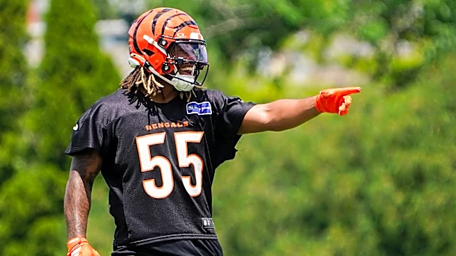 Bengals News: Colbie Young and Cashius Howell rising
