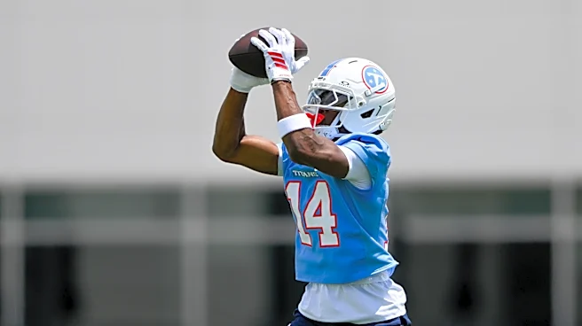 Will Titans WR Carnell Tate be the next rookie 1,000 yard receiver?