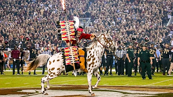 Three things to know when attending a football game at FSU