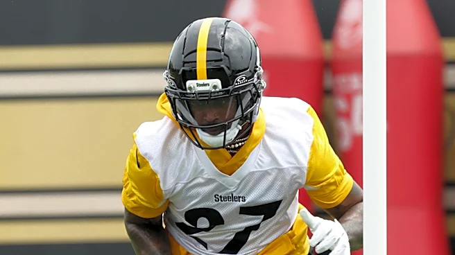 Steelers release veteran wide receiver
