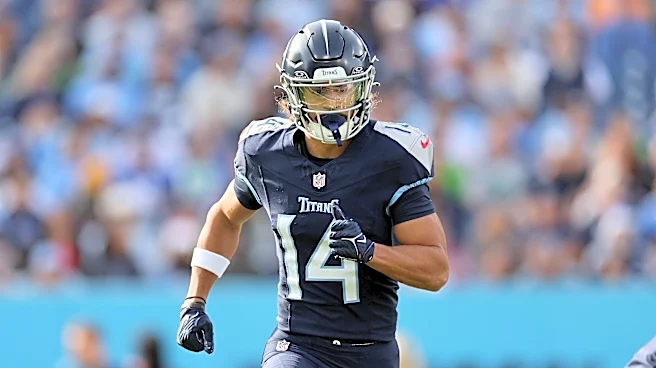 Steelers sign former Titans wide receiver