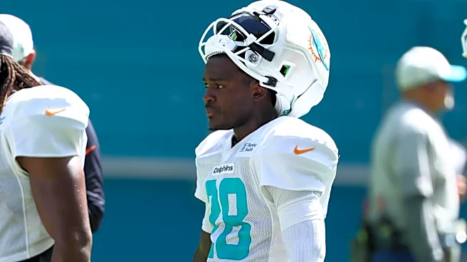Dolphins fans believe in direction of team