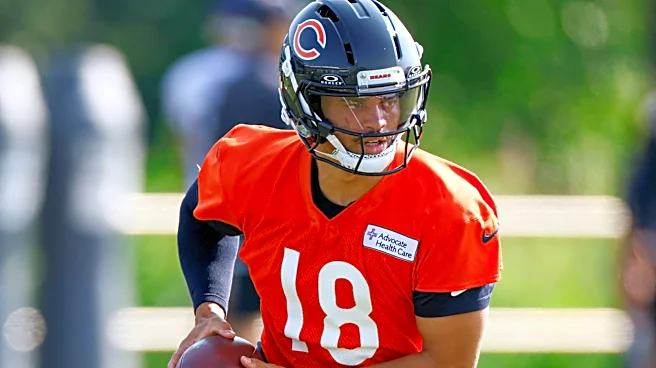 Bear & Balanced: Jordan van den Berg emerging, Injuries mounting, Caleb Williams does it again