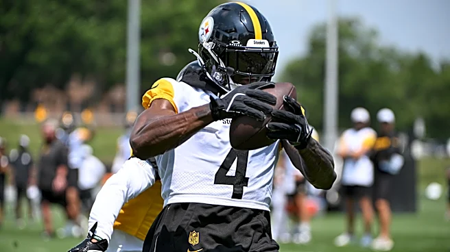 Steelers training camp: DK Metcalf circus catch highlights Saturday night lights
