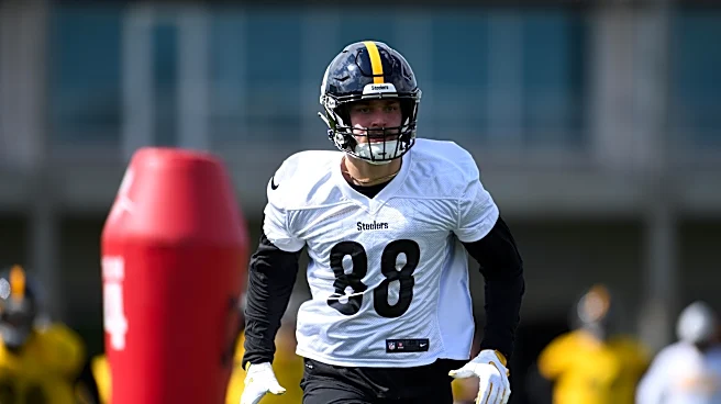 Steelers plans for Pat Freiermuth will excite fans