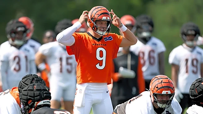 Twitter recap: Hall of Fame presence at Sunday’s Bengals training camp practice