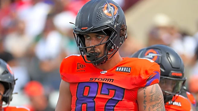Arizona Cardinals add tight end, linebacker to roster