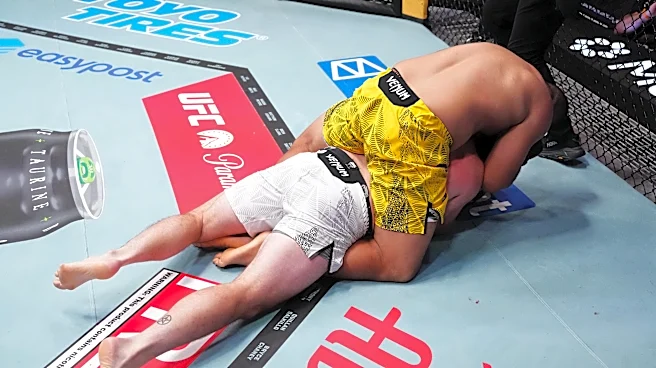 Rookie Report Card: Grading all Octagon newcomers UFC Vegas 120 post-mortem