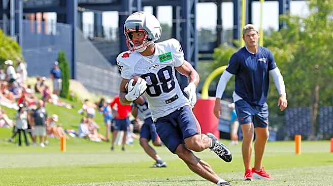 Patriots 2026 scouting report for WR Cameron Dorner