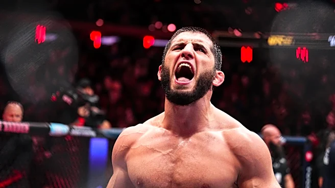 UFC 330 main card announced