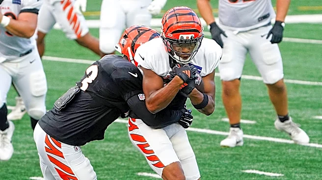 7 takeaways from Cincinnati Bengals’ first depth chart of the 2026 season