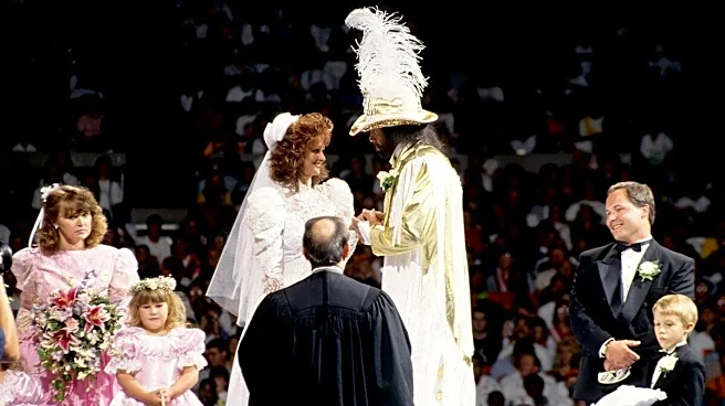 SummerSlam 1991 retro review: A show made of highs, lows, and history