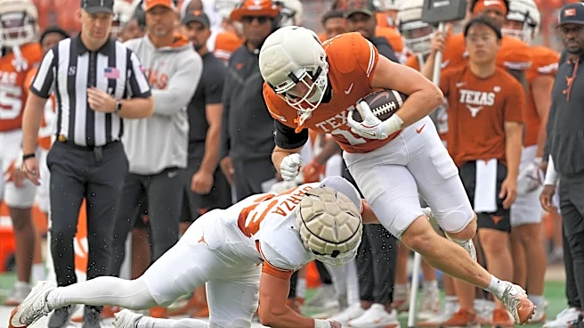 Adjust your expectations for the Texas TE position in 2026