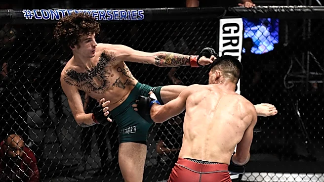 Bargain alert! UFC’s Contender Series finally starts selling tickets for just $25