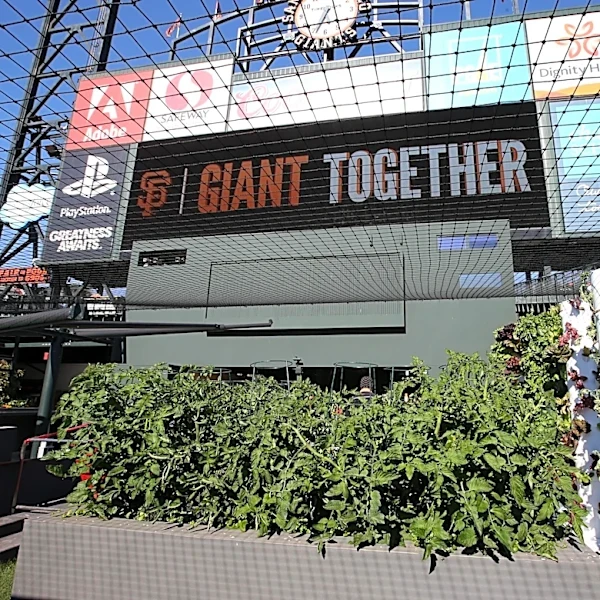 Tuesday BP: Watch a Puerto Rican team dinner with the Giants