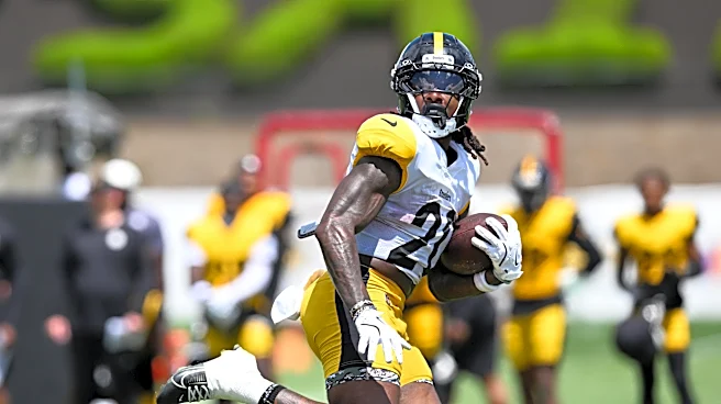 Pittsburgh Steelers roster by jersey number, last name