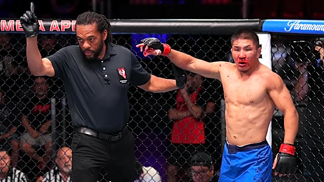Referee Herb Dean makes mess of The Ultimate Fighter 34 fight with confusing call