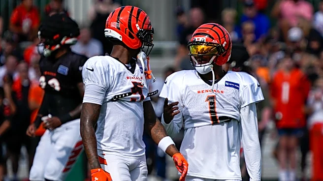ESPN ranks Bengals wide receiver room as the best in the NFL