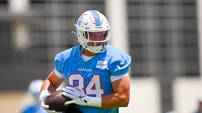 Ranking the Titans’ projected 53-man roster tight ends from best to worst
