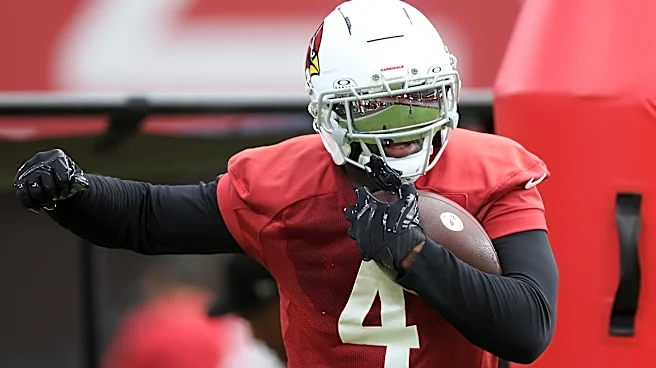 Arizona Cardinals news: Which player are you most excited to watch tonight?