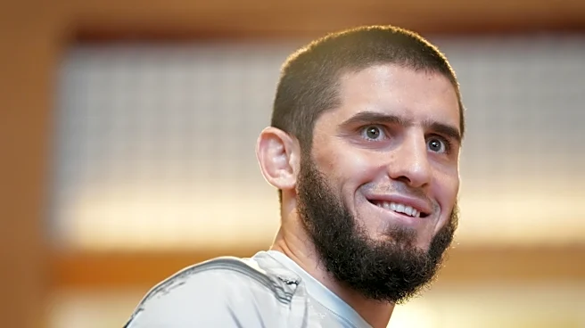 UFC 330 predictions, preview, and analysis