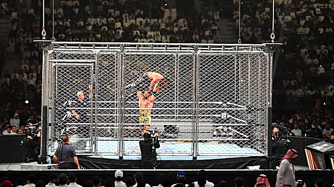 Hot take: WWE should do away with all cage matches