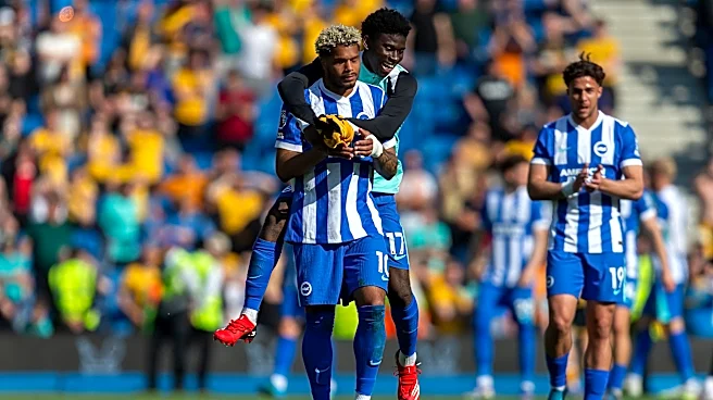 Brighton Star Emerges as Newcastle Target After Everton Game