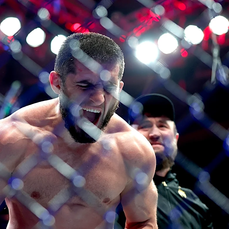 UFC 330 predictions