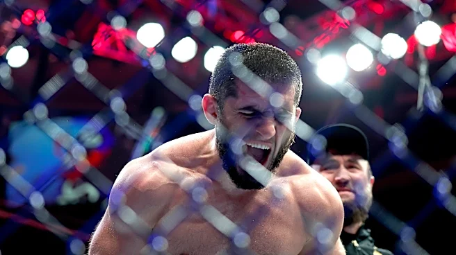 UFC 330 predictions