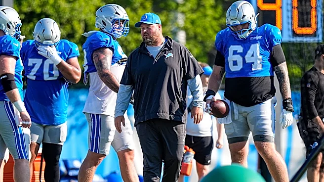 How concerned are Detroit Lions fans about the offensive line?