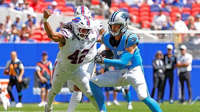 Panthers 14 Bills 29: An ugly day for the Panthers starting offense