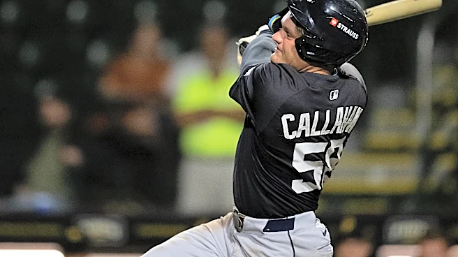 Tigers promote OF Brett Callahan from Toledo, DFA OF Trei Cruz