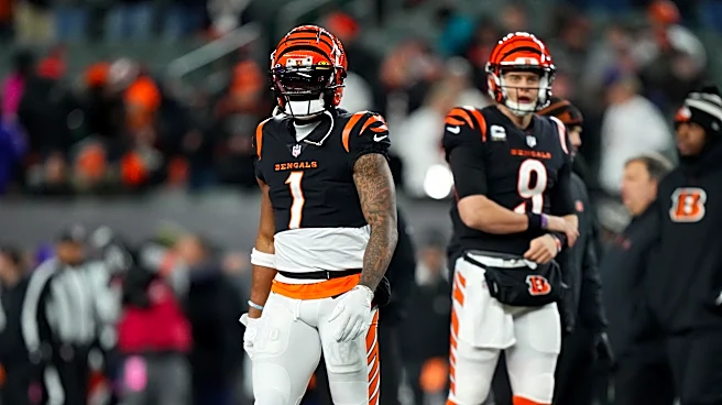 ESPN experts say Bengals have the 17th-most promising future