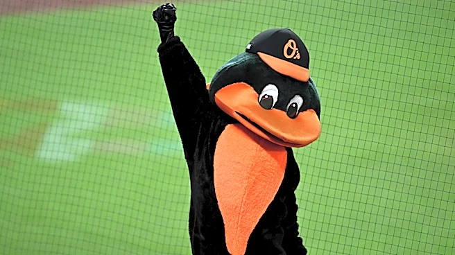 This week in the Orioles minors: Bradfield heats up, Estrada hits five homers