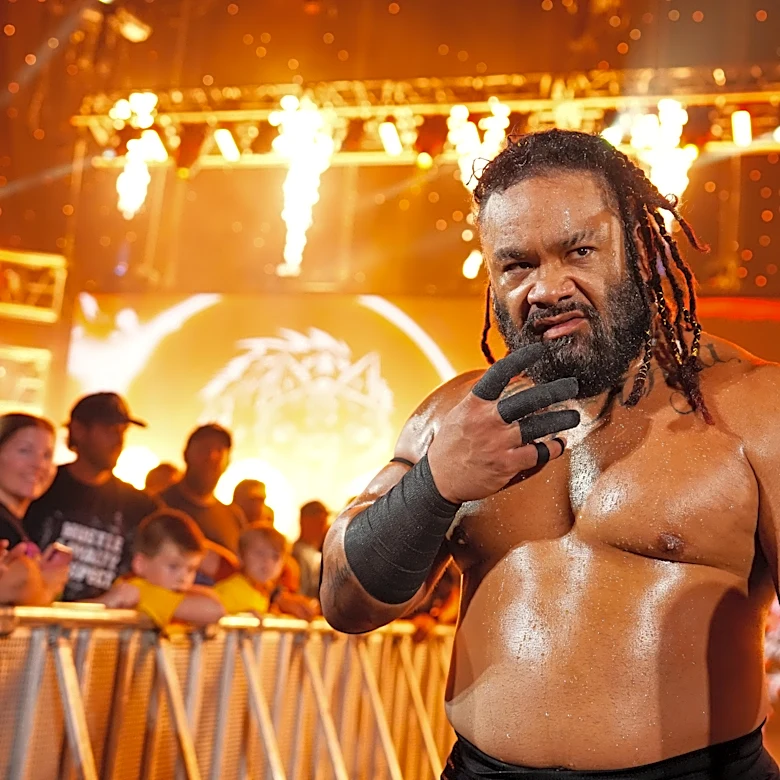 Fans puzzled by WWE star’s post about Hayden Panettiere’s death