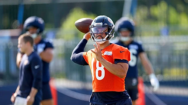 The Mac & Read Show: Who are your 5 Most Important Bears?