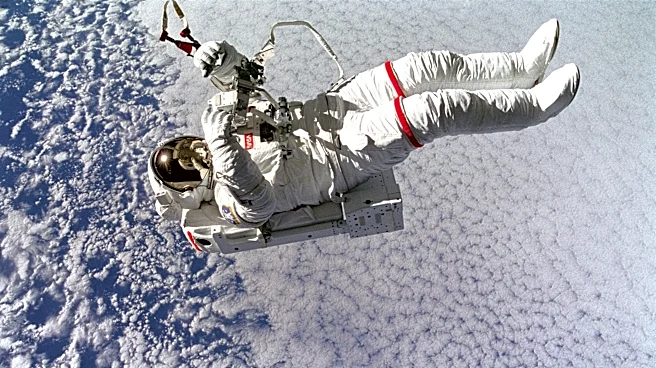 Open Thread, August 19, 2026: What’s your dream job?