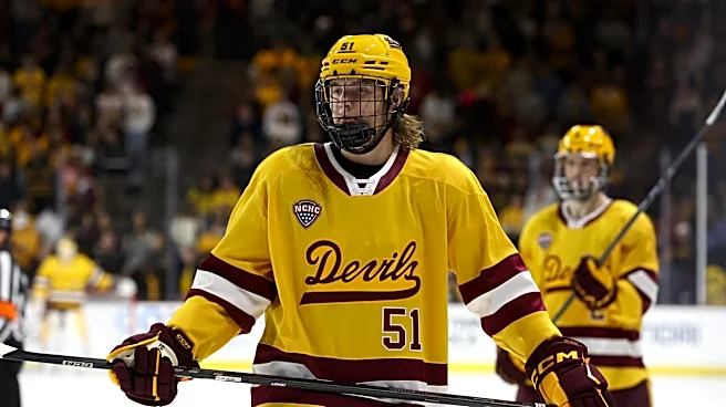 Penguins trade prospect Cruz Lucius to Anaheim for future considerations