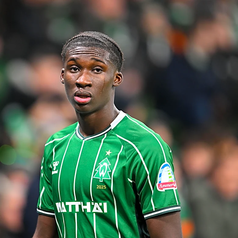 Newcastle Join Premier League Rivals in Race for €50 Million Bundesliga Talent