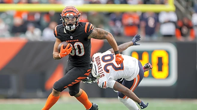 Bengals News: Bears joint practice
