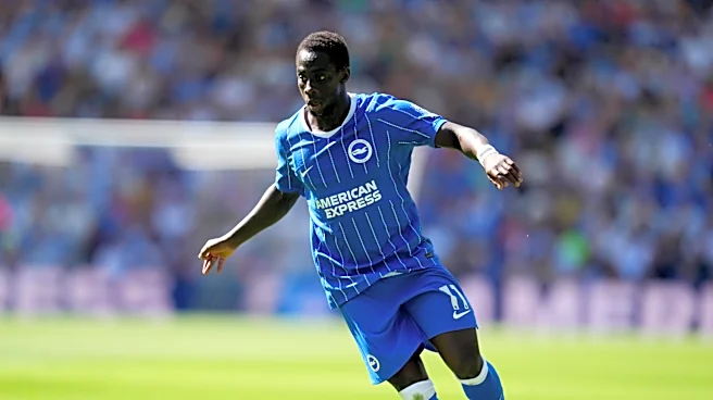 Brighton Reportedly Reject £50M Liverpool Bid for Yankuba Minteh