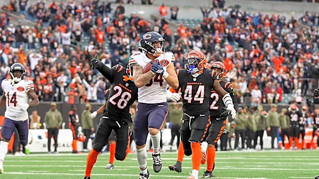Chicago Bears News: Bears and Bengals back and forth at joint practice