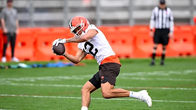 Browns Rookie of the Year betting odds are interesting, with Spencer Fano very low