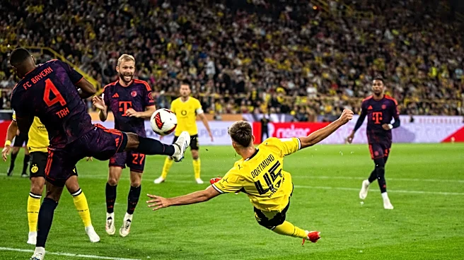 Man of the Match: Newcomers Shine While BVB Fall 2-1 to Bayern