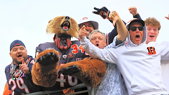Chicago Bears vs. Cincinnati Bengals Preseason Game Discussion