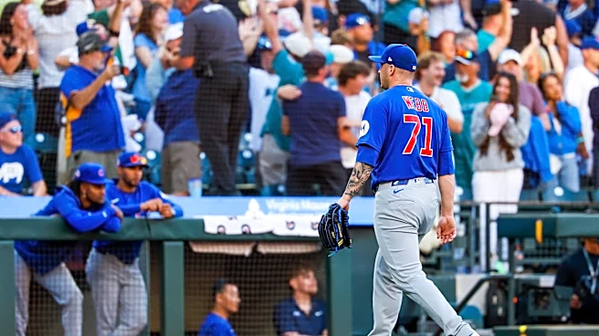 Mariners 5, Cubs 4: The Jacob Webb disaster
