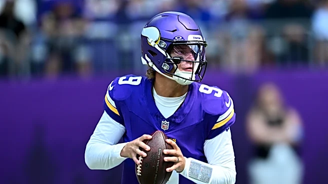 Minnesota Vikings News and Links: What Did We Learn From The Ravens Game?