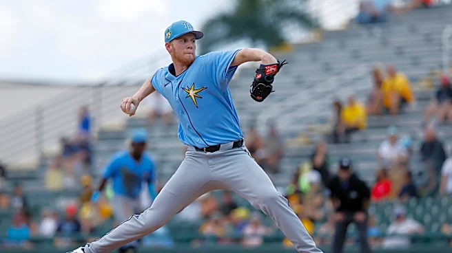 Ty Johnson’s potential late-season impact on the bullpen